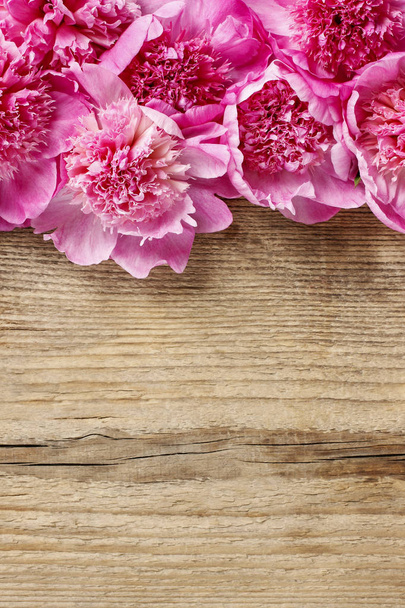 Stunning pink peonies on rustic wooden background. Graphic resources - Φωτογραφία, εικόνα
