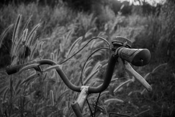 Εκλεκτής ποιότητας φόντο closeup ποδηλάτου και της φύσης. - Φωτογραφία, εικόνα