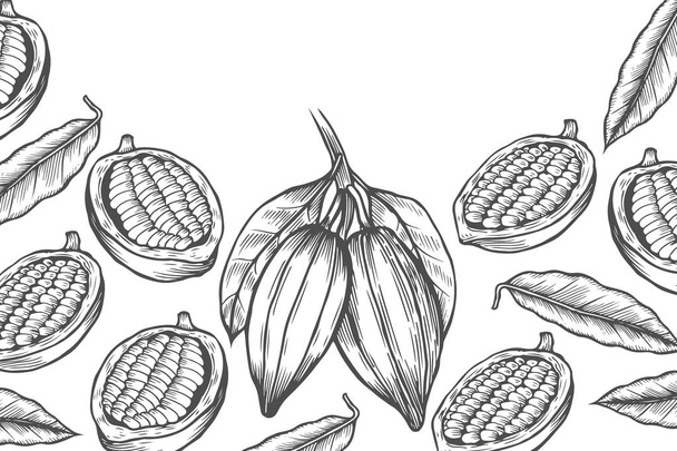 Cocoa bean tree design template. Engraved style illustration. Chocolate cocoa beans. Vector illustration - Vektor, kép