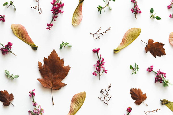 Őszi kötött száraz levelek és virágok fehér háttér. - Fotó, kép