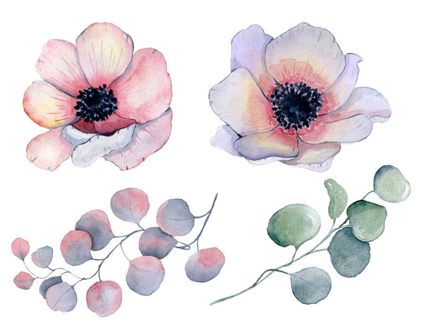 Watercolor anemone flowers and leaves   - Fotoğraf, Görsel