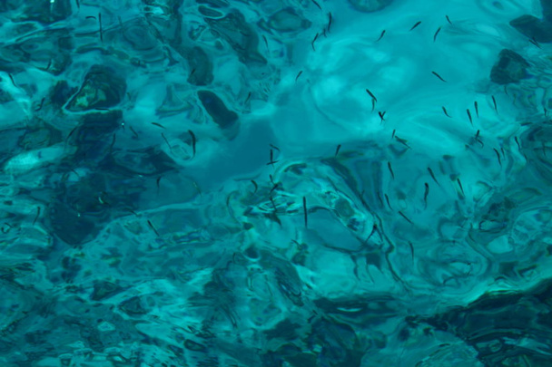 Achtergrond zachte focus van transparant blauwe zeewater met een heleboel kleine vissen op een zomerdag. Op het oppervlak van het water een zachte golfpatroon. - Foto, afbeelding