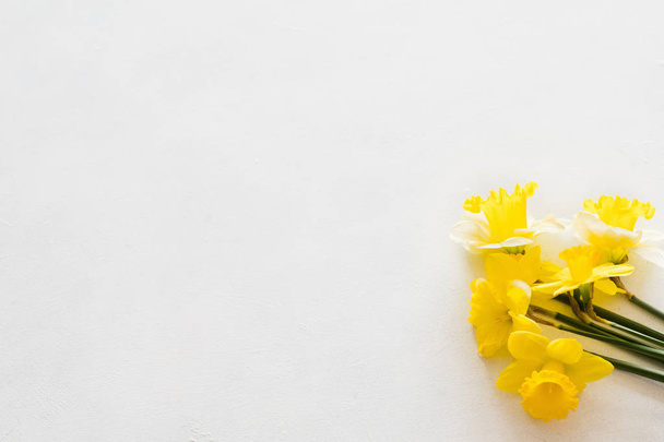 sarı nergis beyaz zemin çiçek buketi - Fotoğraf, Görsel