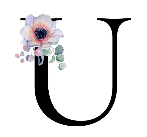  Floral watercolor alphabet. Monogram initial letter U design with hand drawn peony and anemone flower  and black panther  - Zdjęcie, obraz