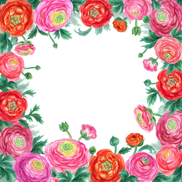 Frame of flowers of the Ranunculus, watercolor drawing, postcard to the day of St. Valentine, wedding, etc. - Photo, image