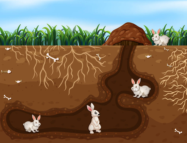 Kaninchenfamilie lebt im Loch Illustration - Vektor, Bild