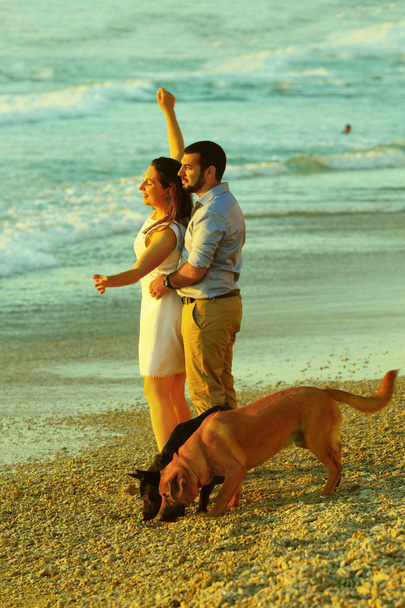 Couple romantique promener leurs deux chiens à la plage
 - Photo, image