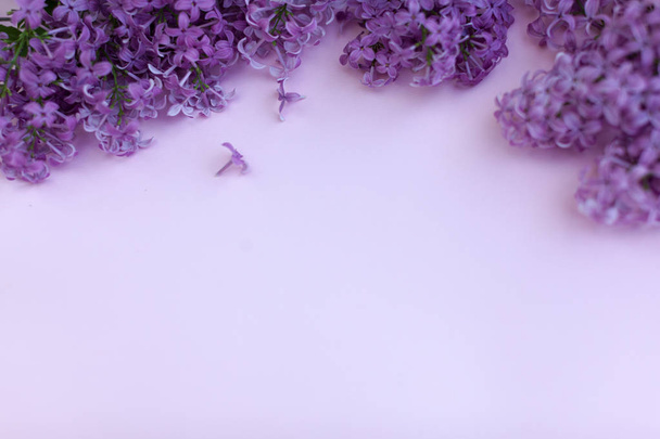 Beautiful floral border with lilacs. With copy-space - Fotó, kép