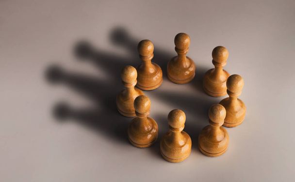 Κύκλο πιόνι σκακιού με σκιά σε σχήμα ως στέμμα - Φωτογραφία, εικόνα