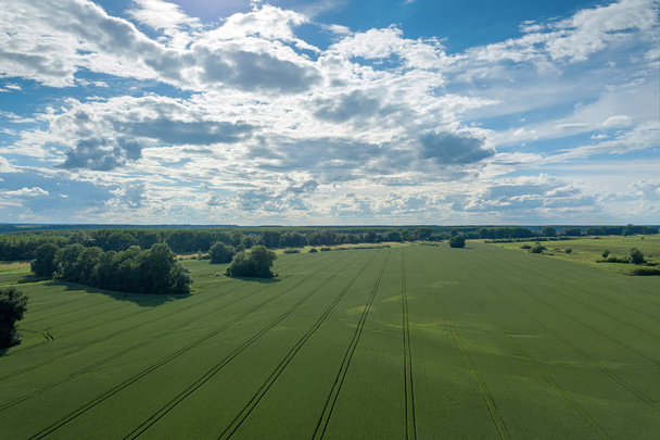 Aerial view of agricultural fields. Countryside, Agricultural Landscape Aerial view. - Foto, Imagen