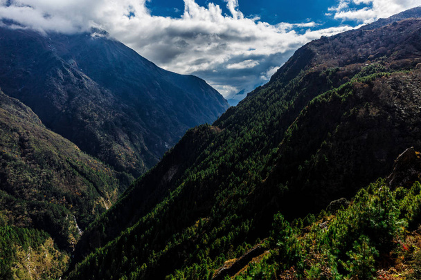 Nature of the Himalayas - Photo, Image