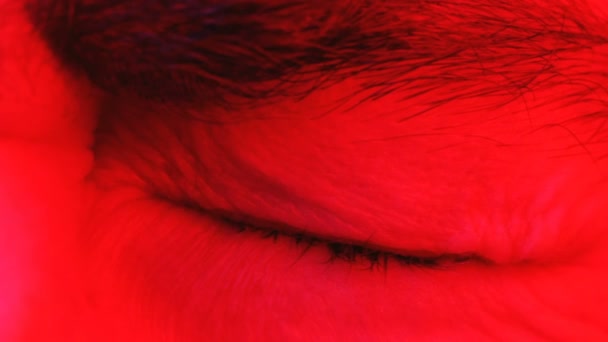 Macro close-up van man open zijn gesloten ogen en kijken omhoog en in camera - Video