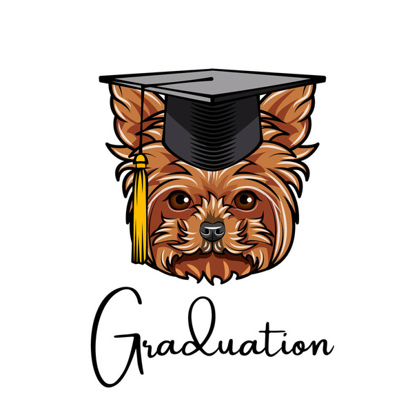 Yorkshire terrier graduate. Graduations cap hat. Dog portrait. Yorkshire terrier head. Graduation text. Vector. - Wektor, obraz