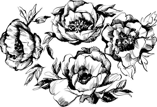 sketch of a beautiful wreath of flowers peonies - Vector, Image