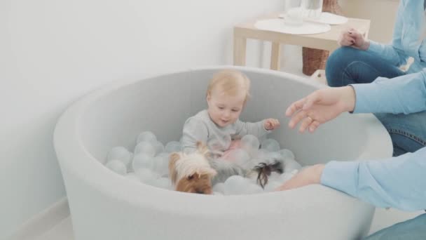 Beautiful little girl seat in the pool with balls and play. Lovely baby play with dog in pool. Slow motion - Metraje, vídeo