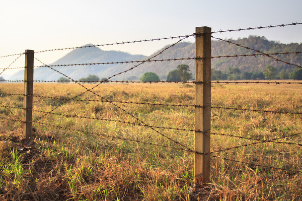 Колючий дріт паркан і трав'яне поле
 - Фото, зображення