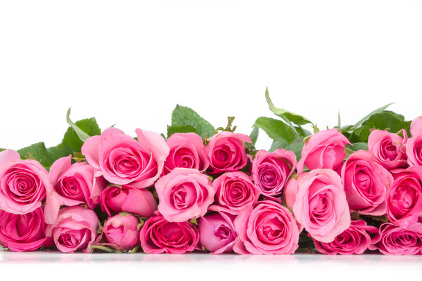 border of Beautiful fresh sweet pink rose for love romantic valentine or wedding background - Foto, immagini