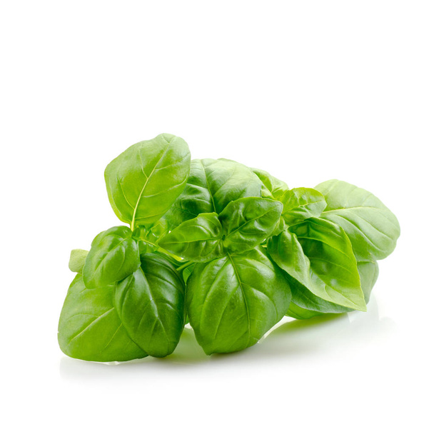 feuilles de basilic vert frais sur fond blanc  - Photo, image