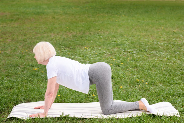 Starší žena v sportovní cvičení jóga podložku na zeleném trávníku - Fotografie, Obrázek