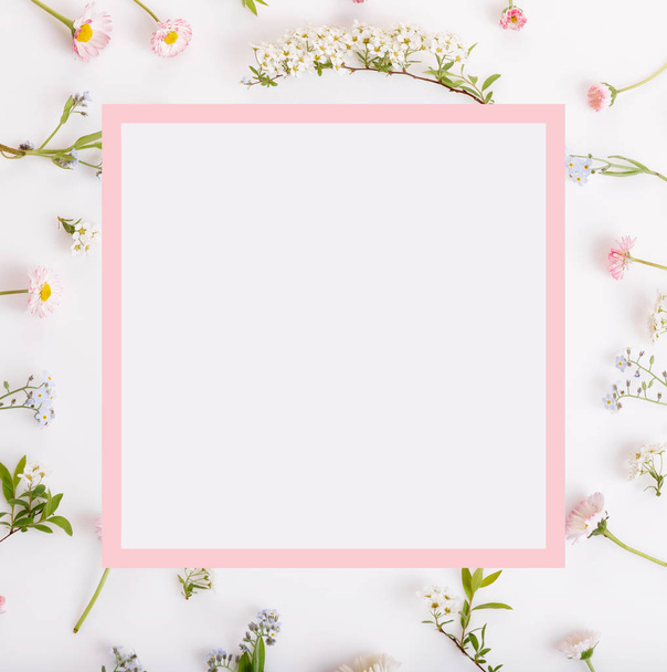 Roze bloemen Frame op witte achtergrond. - Foto, afbeelding