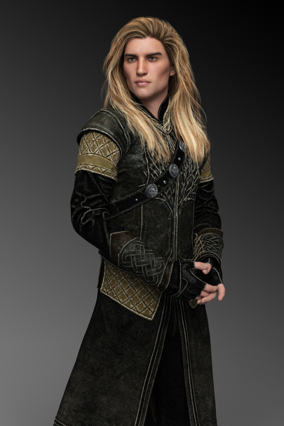 Handsome Fantasy Male Prince with Long Blonde Hair In Leather Armor - Fotoğraf, Görsel