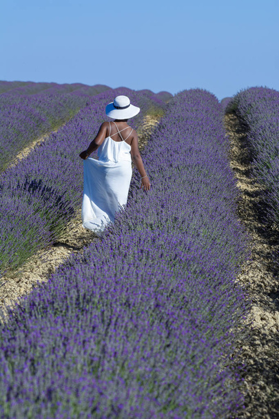 African-American woman with white dress and hat strolling between the rows of lavender in bloom - Photo, Image
