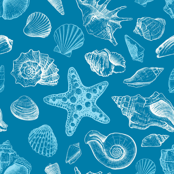 patrón sin costuras con conchas marinas - Vector, imagen