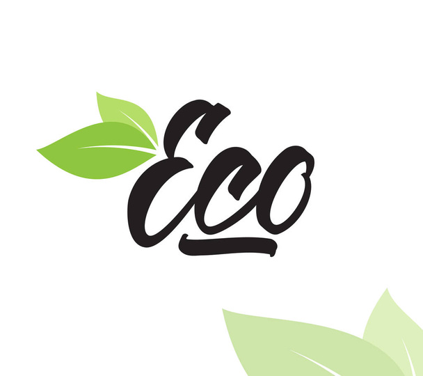 Handwritten type lettering of Eco with green leaves. - Vektor, kép