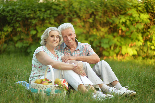 Happy senior couple having picnic in park  - Foto, immagini