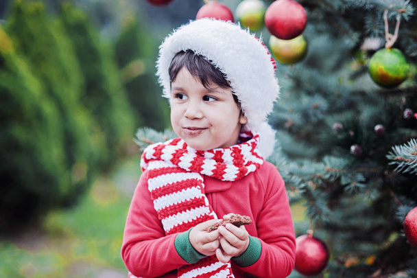 kleiner Junge mit weihnachtlichen Lebkuchen in Großaufnahme. Kind wartet auf Weihnachten im Wald. Weihnachten im Juli. - Foto, Bild