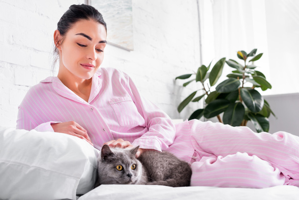 sorridente mulher petting britânico shorthair gato enquanto deitado na cama em casa
 - Foto, Imagem