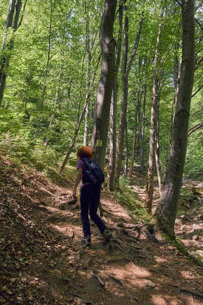 Woman hiker with backpack on a trail in the mountains - Fotó, kép