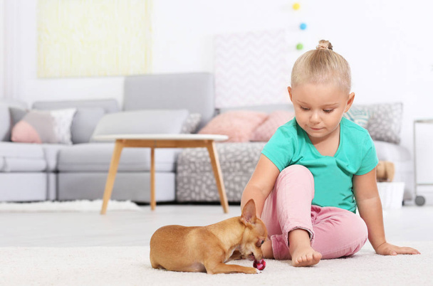 Little girl with cute dog at home - Fotografie, Obrázek