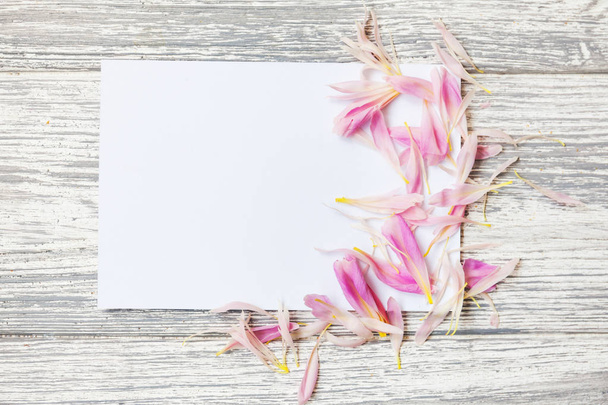 Creative layout with flowers, petals and copy space card note. Nature concept. Flat lay. floral composition with peonies and blank card - Foto, afbeelding