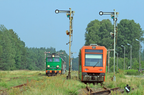 Passenger trains crossing - Photo, Image
