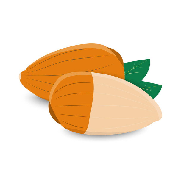 vector illustration, almond with leaf isolated on white background. - Vektör, Görsel