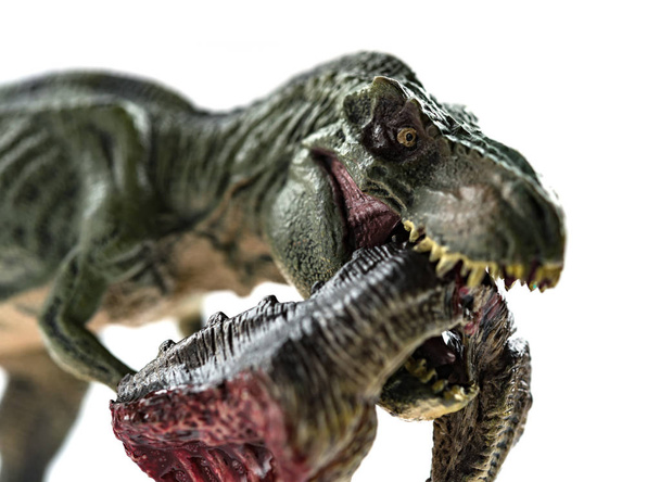 bir dinozor vücut, kan beyaz arka plan üzerinde ısırma tyrannosaurus yakın çekim - Fotoğraf, Görsel
