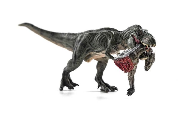 tiranosaurio mordiendo un cuerpo de dinosaurio con sangre sobre fondo blanco
 - Foto, imagen