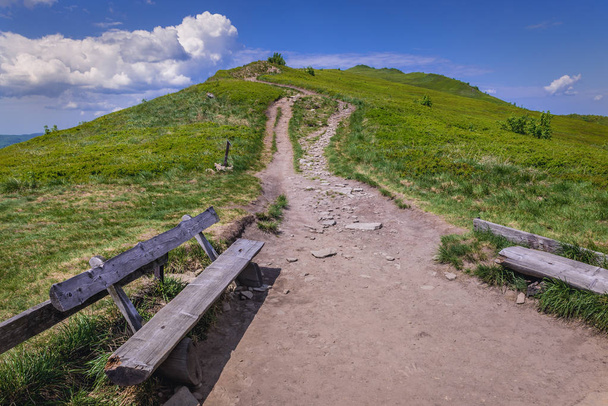 Vista dal passo Orlowicz con un sentiero di salita al Monte Smerek su Wetlina Meadows, Bieszczady Mountains in Polonia
 - Foto, immagini