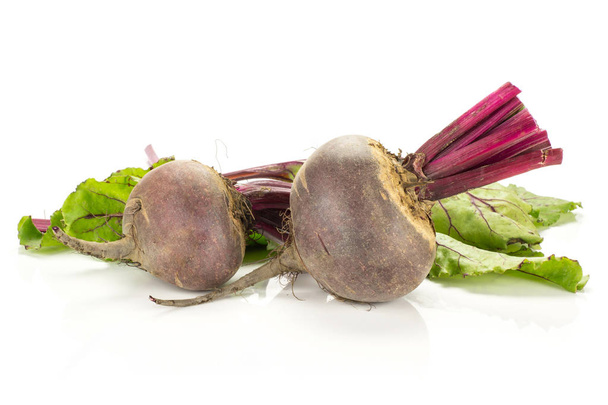 Red beet with cut tops two young bulbs and green leaves isolated on white backgroun - Photo, Image