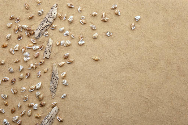 Beach sand with tiny sea shells and driftwood background. Mini small shells and drift wood on sand background with empty  place. - Foto, immagini