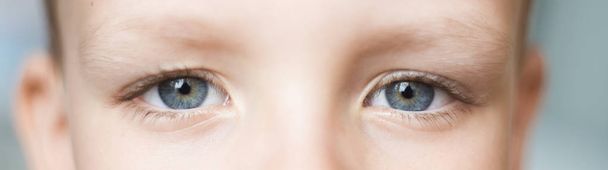 Closeup of beautiful boy eye. Beautiful grey eyes macro shot. image of a little kid eye open - Zdjęcie, obraz