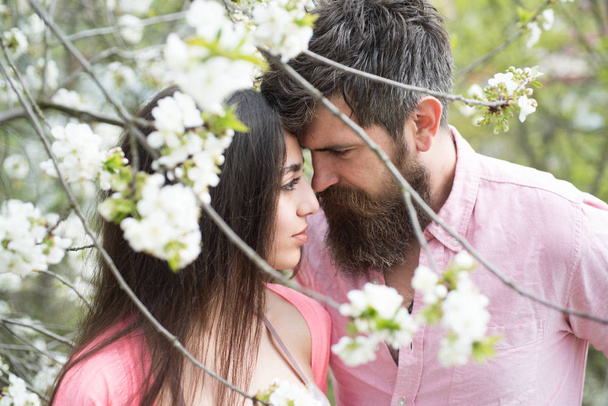 Couple in love spend time in spring garden, branches with flowers on background. Man and woman hugs in blooming garden on spring day. Spring date concept. Couple hugs near blooming trees. - Photo, image