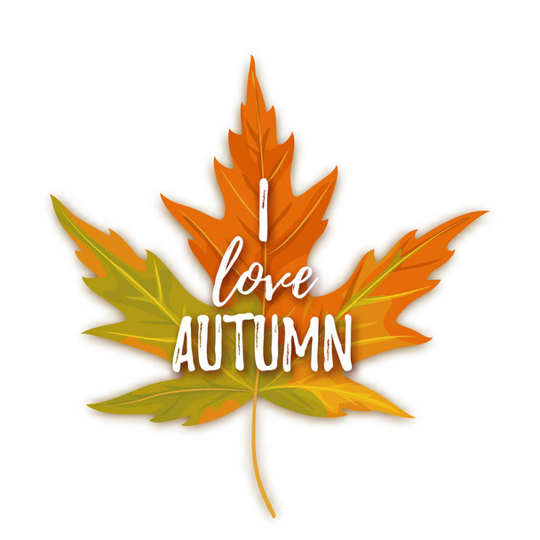 I love autumn lettering on maple autumn leaf isolated on white background - Vector, Imagen