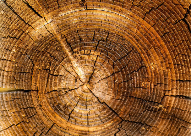 аутентичный фон с узорами из натурального дерева, концепция натуральных материалов, копировальное пространство
, - Фото, изображение