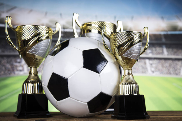 Мячи в спорте, трофей и чемпионская концепция
 - Фото, изображение