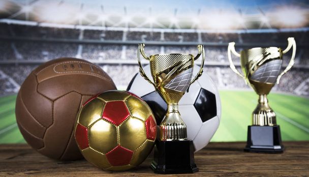 Кубок обладателей наград, Спортивный инвентарь и мячи
 - Фото, изображение