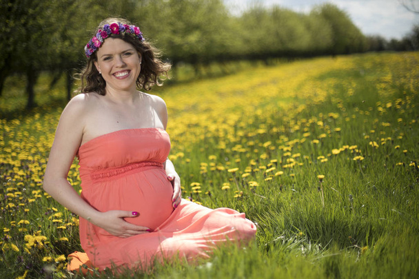 Hermosa mujer embarazada en el jardín de primavera entre los dientes de león en flor
 - Foto, Imagen