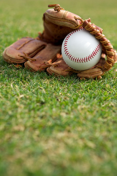 Béisbol en un guante
 - Foto, imagen