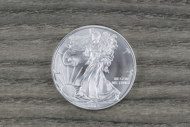 Чистого срібла долар на зник лісі - Фото, зображення